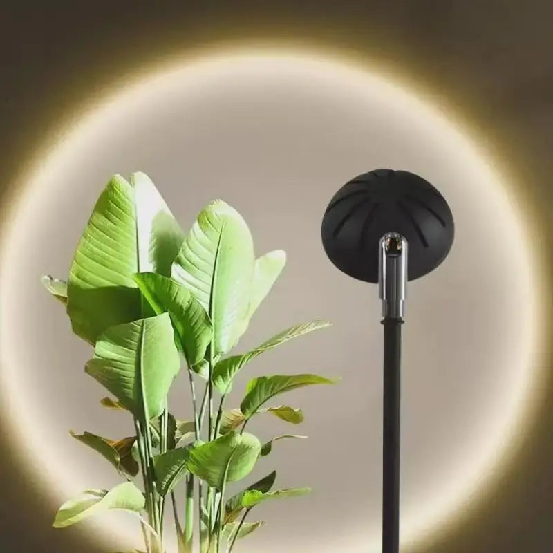 Lampadaire Anthracite