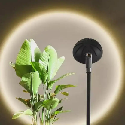 Lampadaire Anthracite